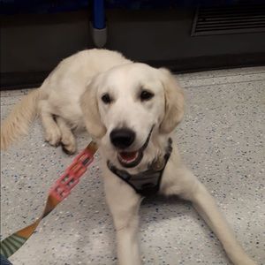 Meet your Posher, Vicki